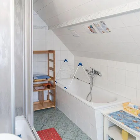 Loewenzahn Mit Holu * Zehdenick